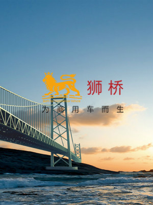 獅橋資本網頁設計